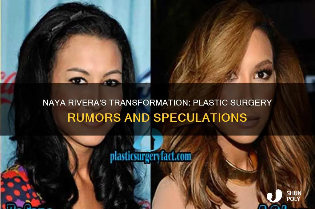 has naya rivera had plastic surgery
