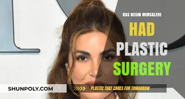 Negin Mirsalehi's Transformation: Plastic Surgery Rumors Explored
