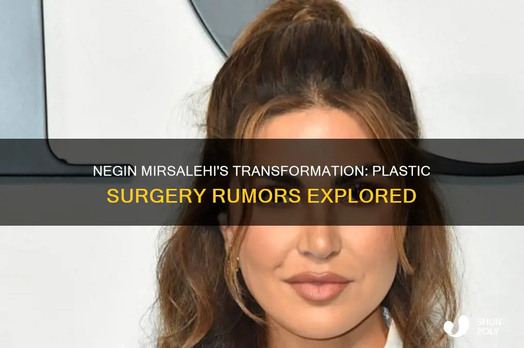 has negin mirsalehi had plastic surgery