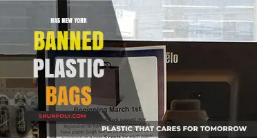 New York's Plastic Bag Ban: What You Need to Know