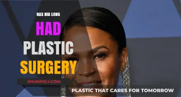 Nia Long's Transformation: Plastic Surgery Speculations and Truths Revealed
