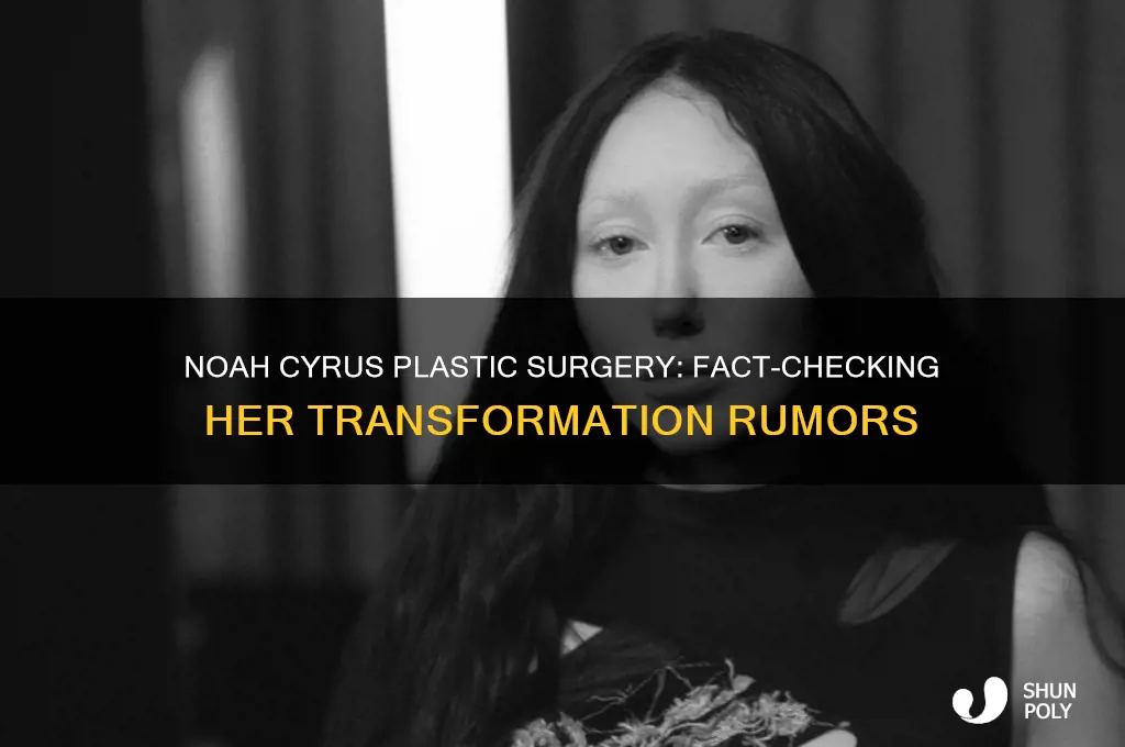 has noah cyrus had plastic surgery
