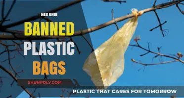 Ohio's Plastic Bag Ban: What You Need to Know
