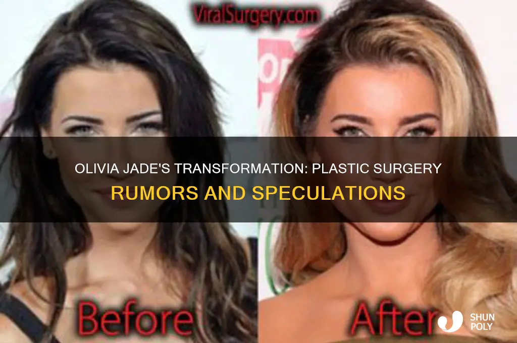 has olivia jade had plastic surgery