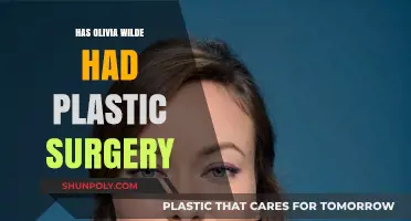 Olivia Wilde's Transformation: Plastic Surgery Rumors Explored and Debunked