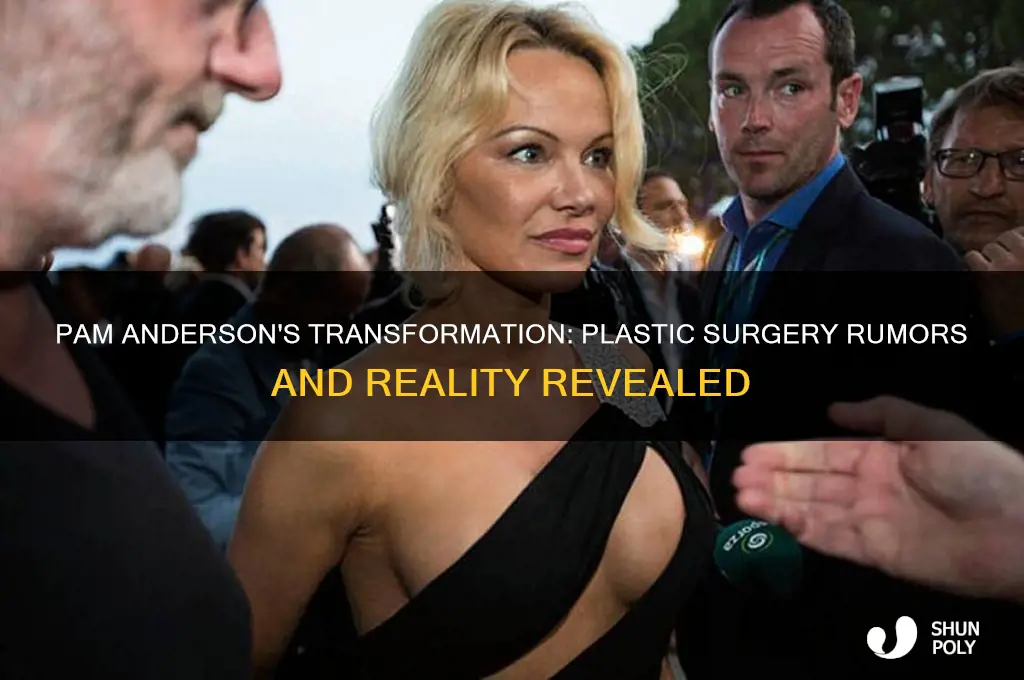 has pam anderson had plastic surgery