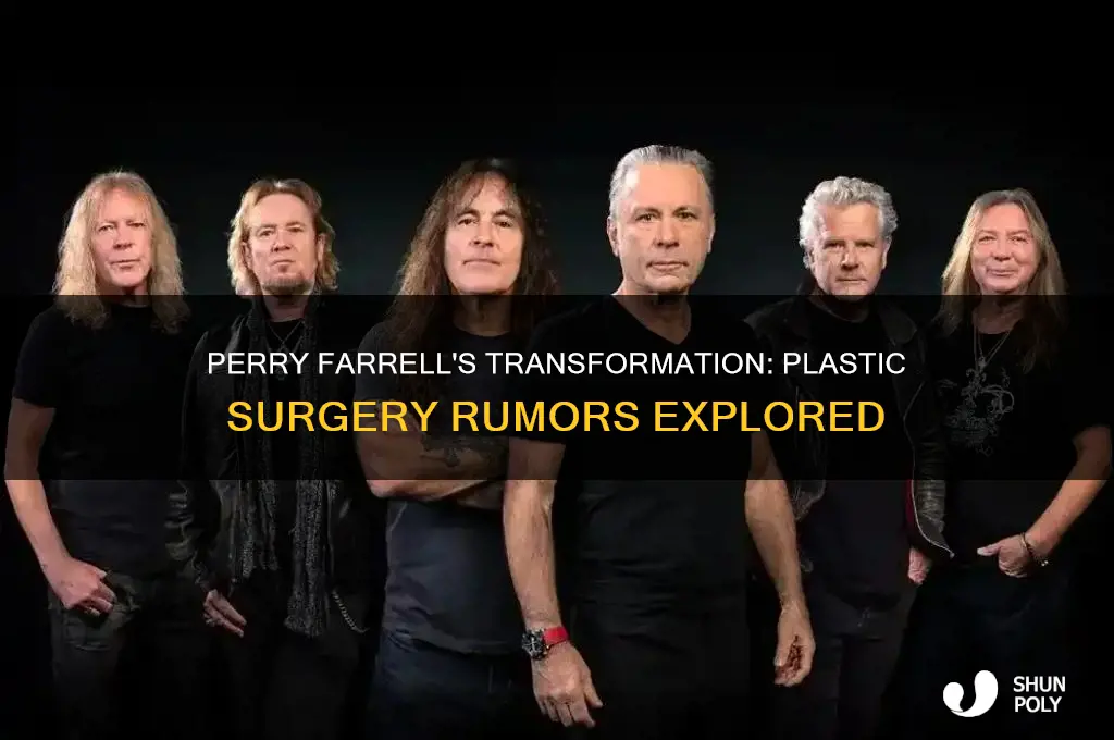 has perry farrell had plastic surgery