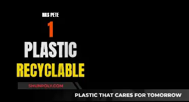 Pete's Plastic: Unveiling the Recyclable Truth