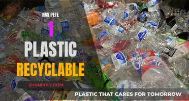 Recycling Revolution: Is PET Plastic Truly Green?