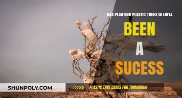Has Planting Plastic Trees in Libya Been a Success?