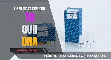Plastic's DNA Intrusion: An Unwanted Attachment