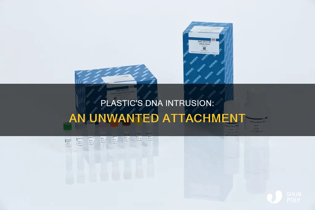 has plastic attached itself to our dna