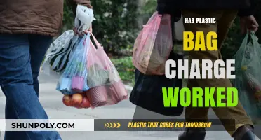 Plastic Bag Charge: Assessing Its Impact on Waste Reduction and Behavior
