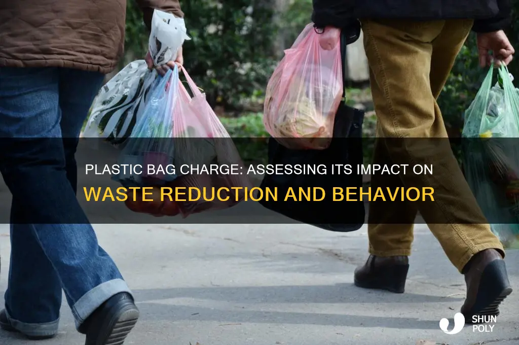 has plastic bag charge worked
