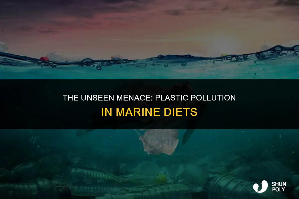 has plastic become a part of sea lifes diet