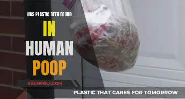Plastic in Human Poop: A Startling Discovery