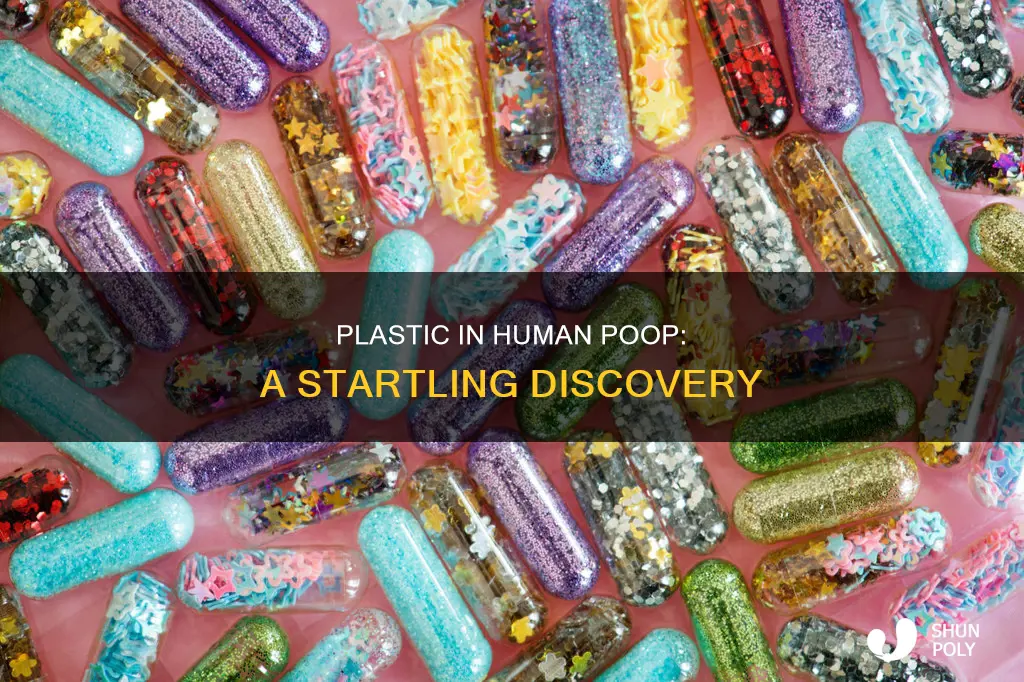 has plastic been found in human poop