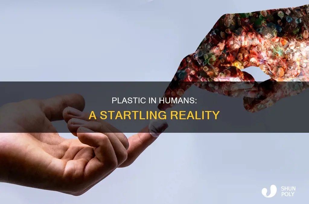 has plastic been found in humans