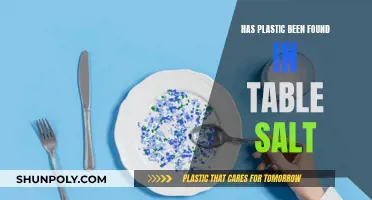 Plastic in Table Salt: A New Concern?