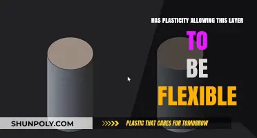 Unlocking Flexibility: The Power of Plasticity in Layered Systems