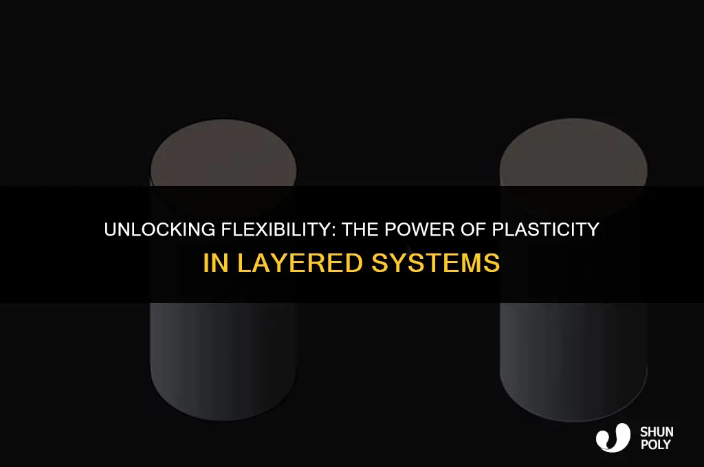has plasticity allowing this layer to be flexible