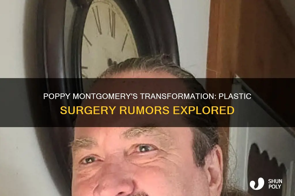 has poppy montgomery had plastic surgery