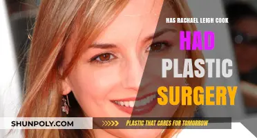 Rachael Leigh Cook's Transformation: Plastic Surgery Speculations Explored