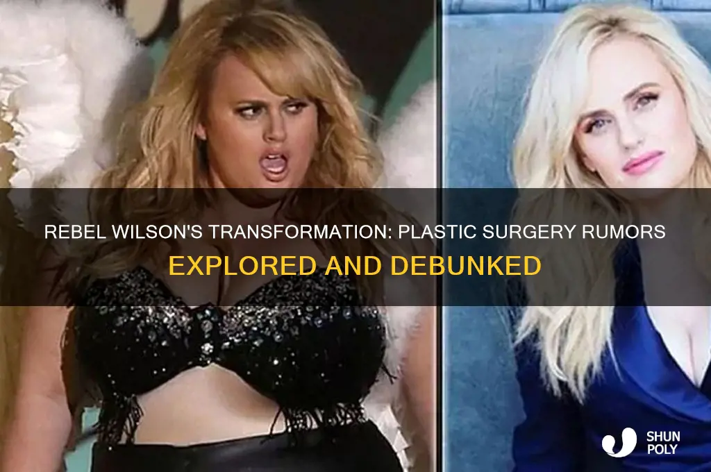 has rebel wilson had plastic surgery