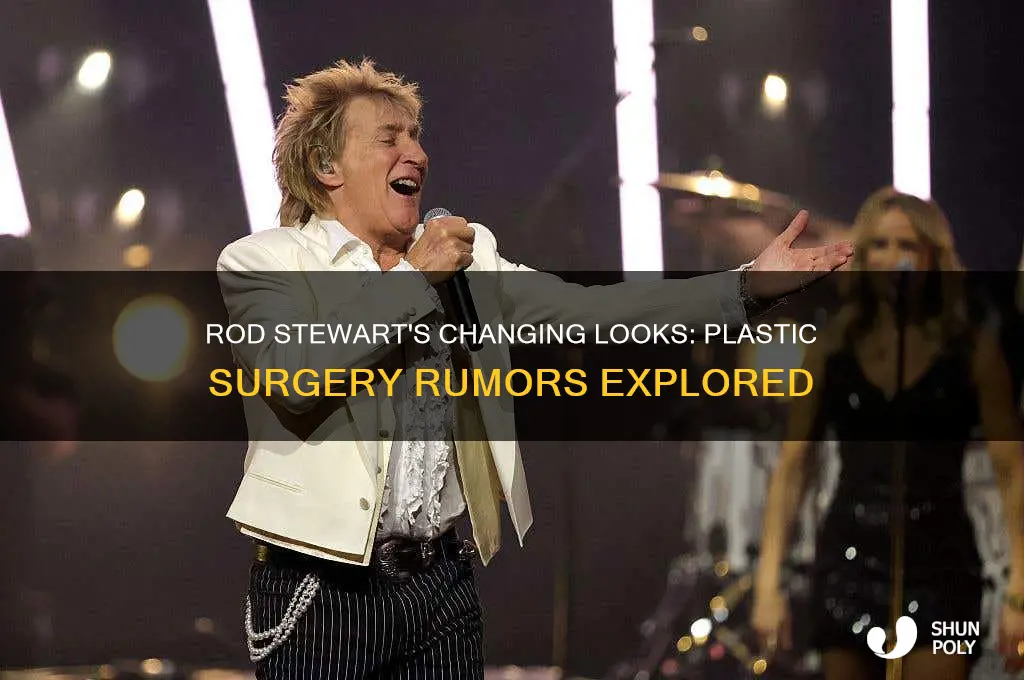 has rod stewart had plastic surgery