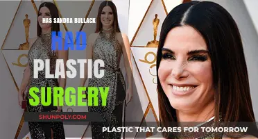 Sandra Bullock's Transformation: Plastic Surgery Rumors Explored and Debunked