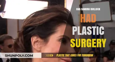 Sandra Bullock's Transformation: Plastic Surgery Rumors Explored