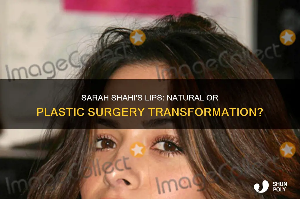 has sarah shahi had plastic surgery lips