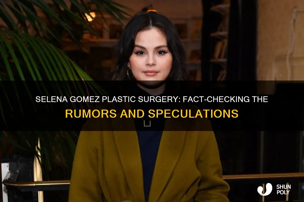 Selena Gomez Plastic Surgery FactChecking The Rumors And Speculations