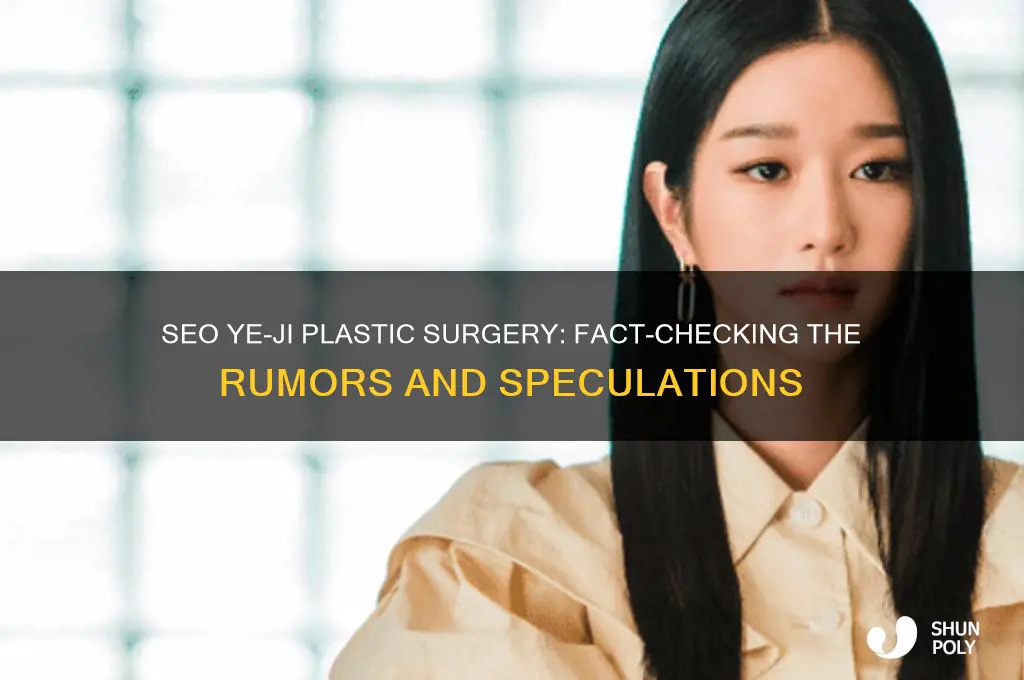 has seo ye ji had plastic surgery