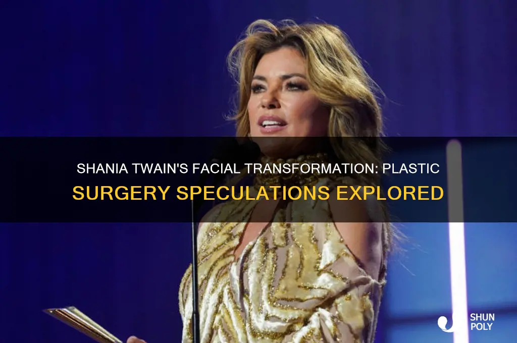 has shania twain had plastic surgery on her face