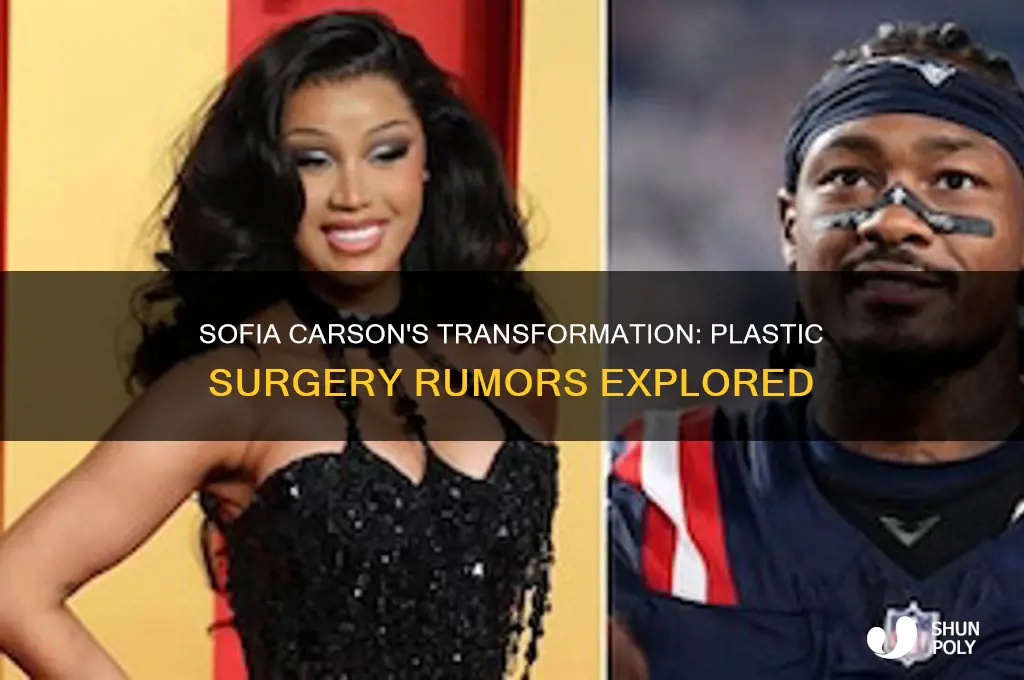 has sofia carson done plastic surgery