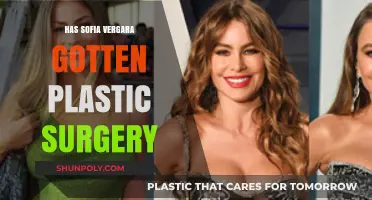 Sofia Vergara's Transformation: Plastic Surgery Rumors Explored