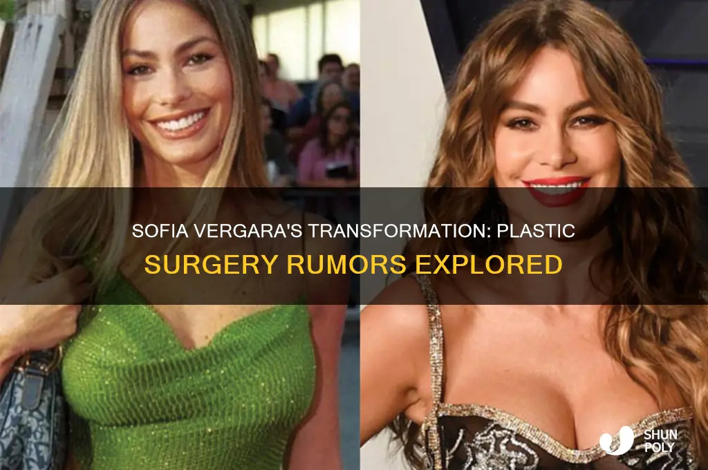 has sofia vergara gotten plastic surgery