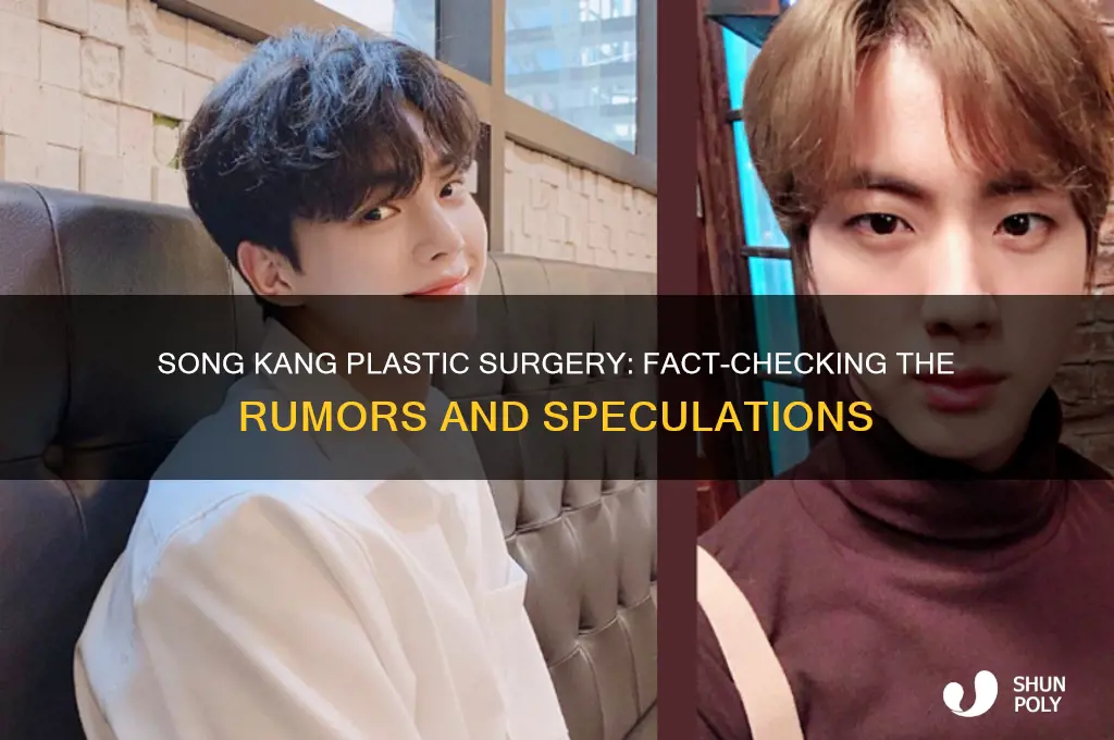 has song kang had plastic surgery