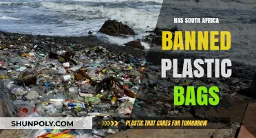 South Africa's Plastic Bag Ban: Environmental Impact and Policy Updates