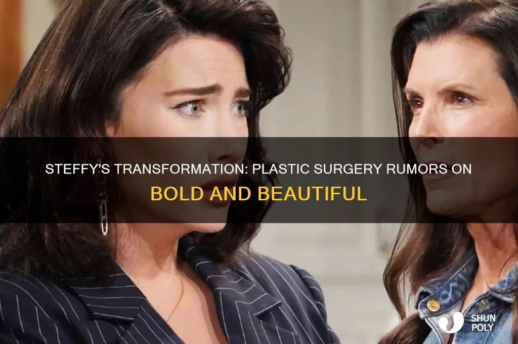 has steffy from bold and beautiful had plastic surgery