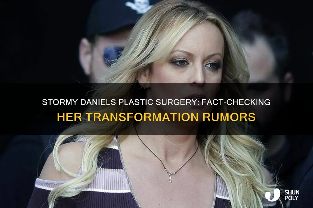 has stormy daniels had plastic surgery