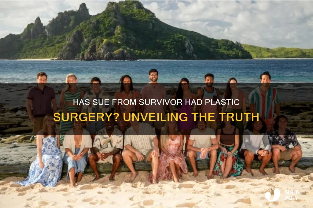 has sue on survivor had plastic surgery