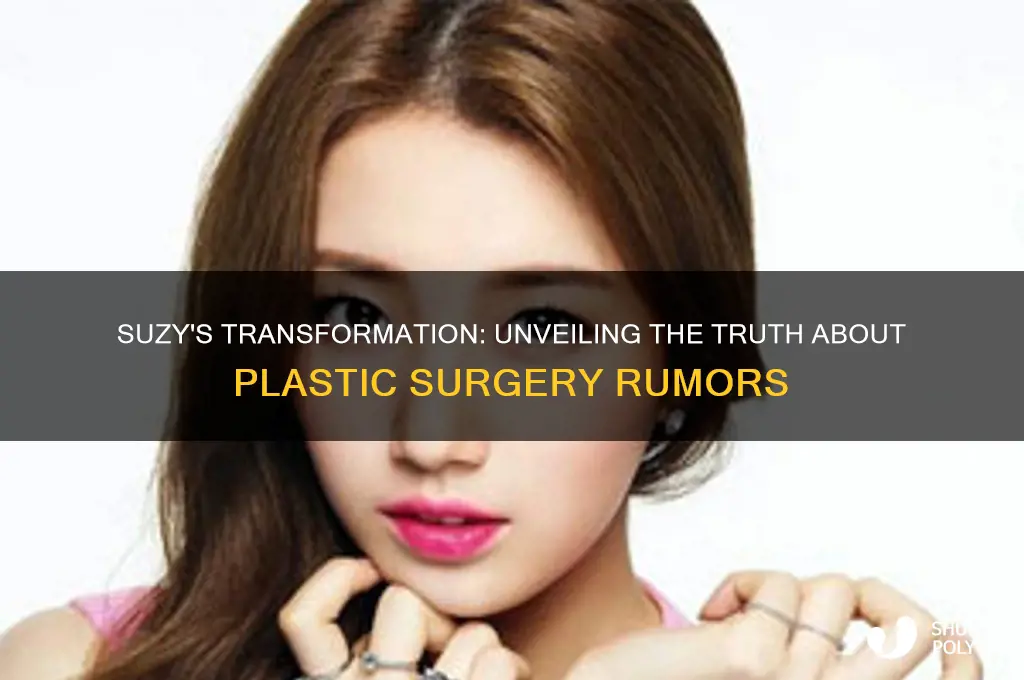 has suzy had plastic surgery