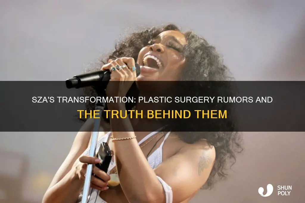 has sza got plastic surgery
