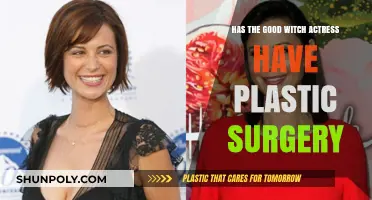 Has 'Good Witch' Star Catherine Bell Had Plastic Surgery?