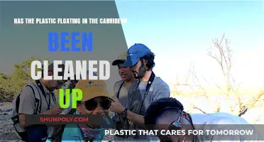 Caribbean Cleanup: Progress on Plastic Pollution Removal