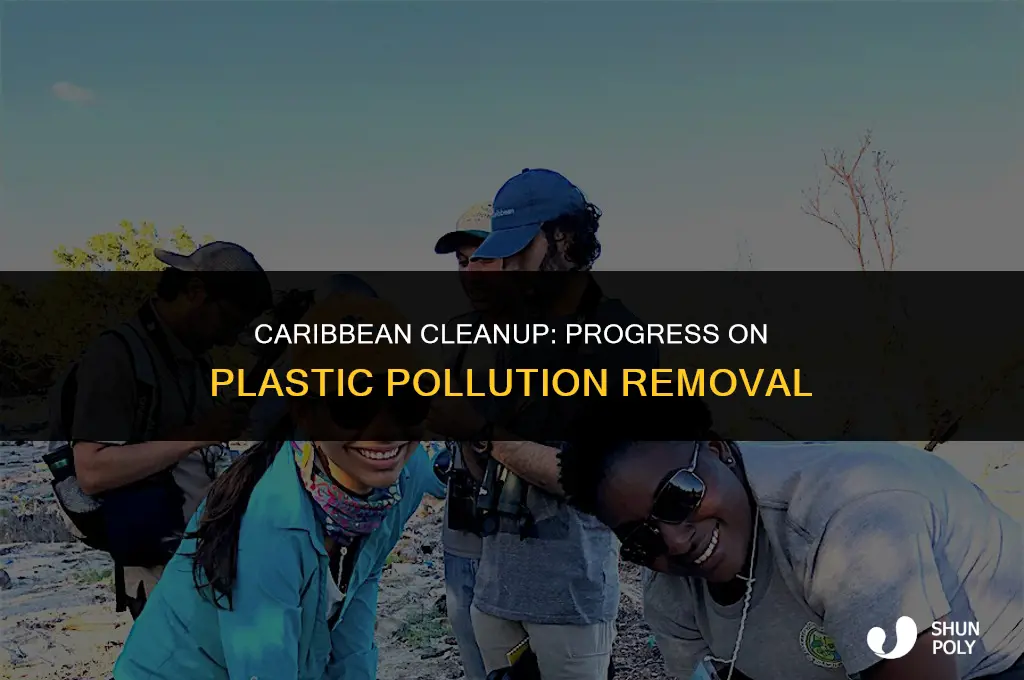 has the plastic floating in the carribean been cleaned up