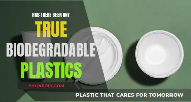 The Elusive Quest for True Biodegradable Plastics