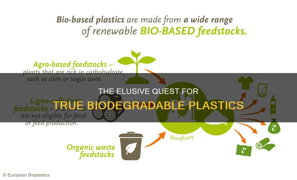 has there been any true biodegradable plastics